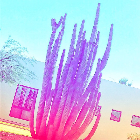 nvrbrkn
